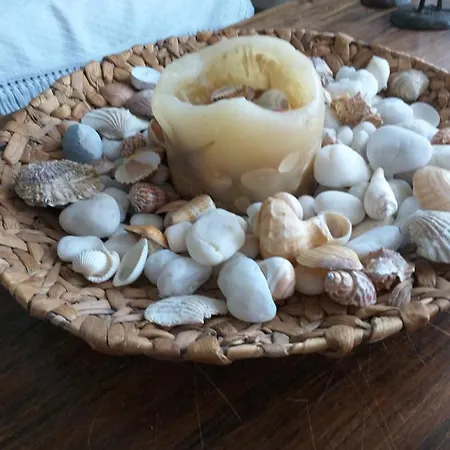 Vakantiehuis Minthi
